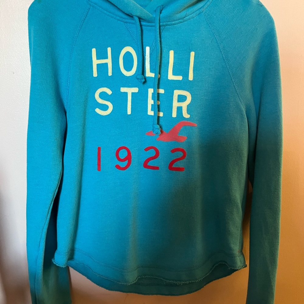 Hollister Women's Blue Hoodie Sweater